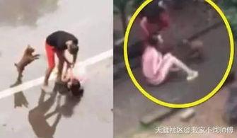 重庆爆料男子被打视频,街头暴力冲突引发社会关注